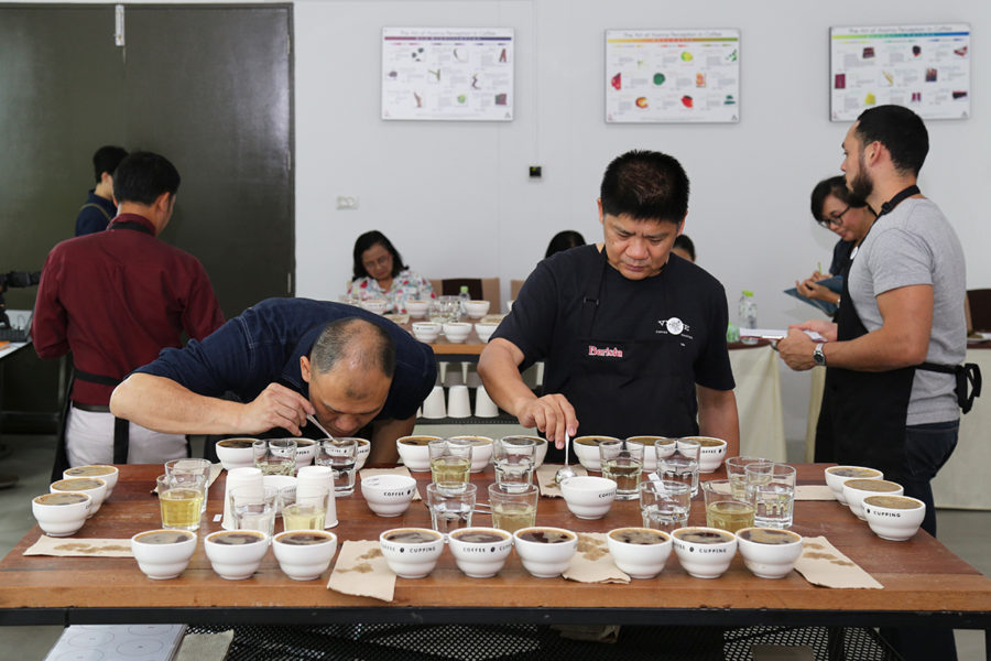 "การประกวดสุดยอดเมล็ดกาแฟไทย