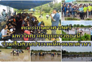 คณะเกษตรศาสตร์ มหาวิทยาลัยอุบลราชธานี ร่วมสืบสานประเพณี ลงแขกดำนา