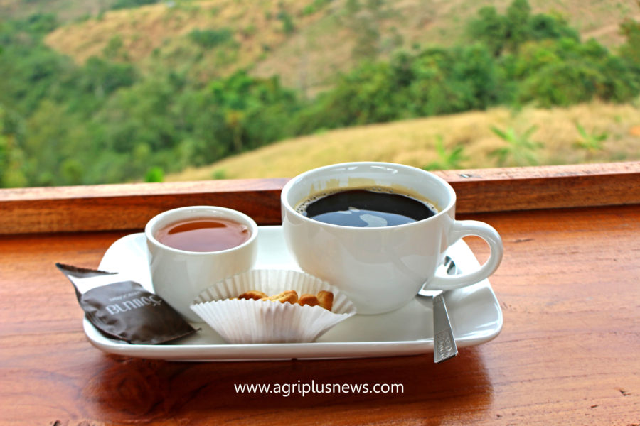 บรรยากาศ ร้านกาแฟ คุ้มเวียงพิงค์