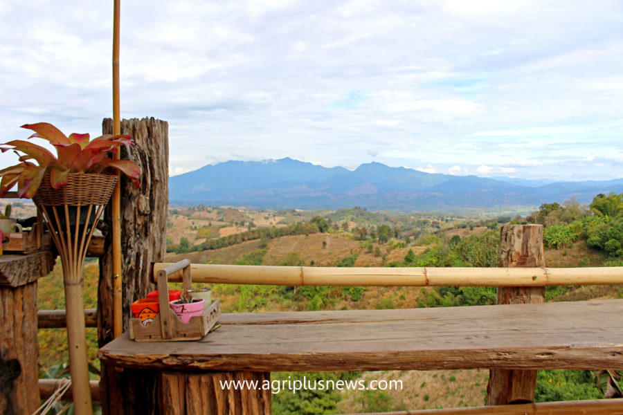 บรรยากาศที่ร้าน เดอะวิว@กิ่วม่วง