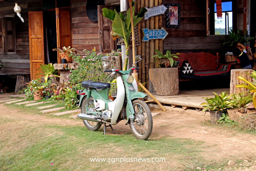 บรรยากาศที่ร้าน เดอะวิว@กิ่วม่วง