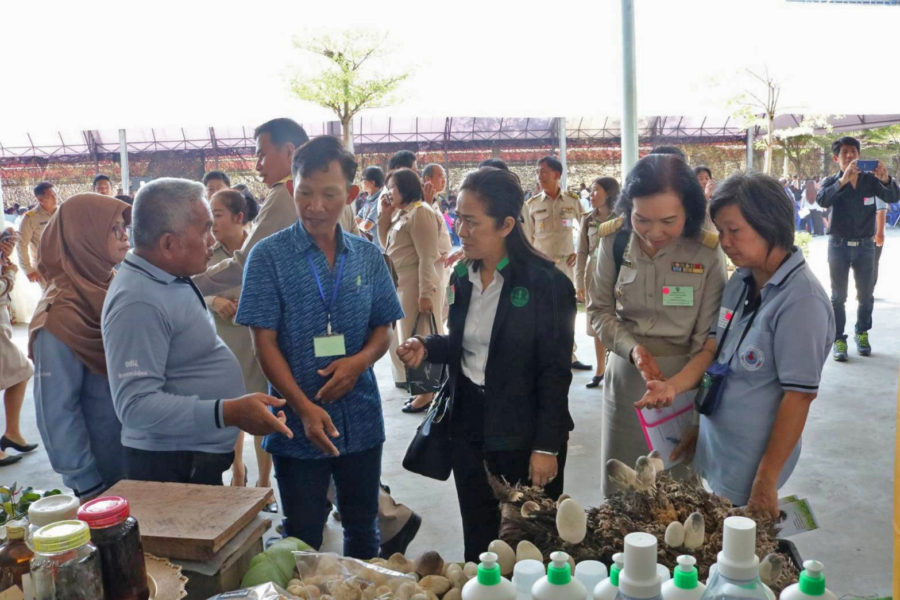 รองอธิบดีกรมส่งเสริมการเกษตร เยี่ยมชม สินค้า gi จังหวัดนนทบุรี