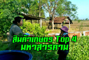 4 สินค้า otop จังหวัดมหาสารคาม