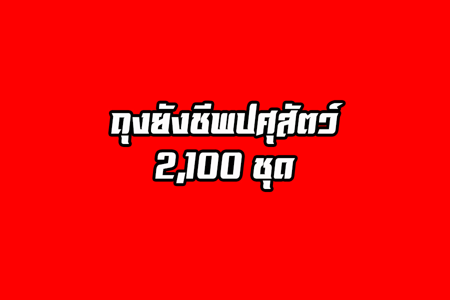 กรมปศุสัตว์ออกแผ่นเร่งด่วนรับมือ พายุโซนร้อนปาบึก