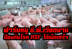 ฟาร์มหมู ซี.พี.เวียดนาม ป้องกันโรค ASF ได้ อย่างเบ็ดเสร็จ
