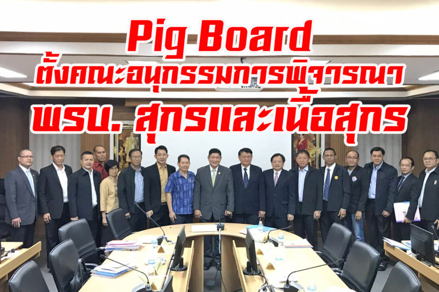 Pig Board ตั้งคณะอนุกรรมการพิจารณา พรบ. สุกรและเนื้อสุกร